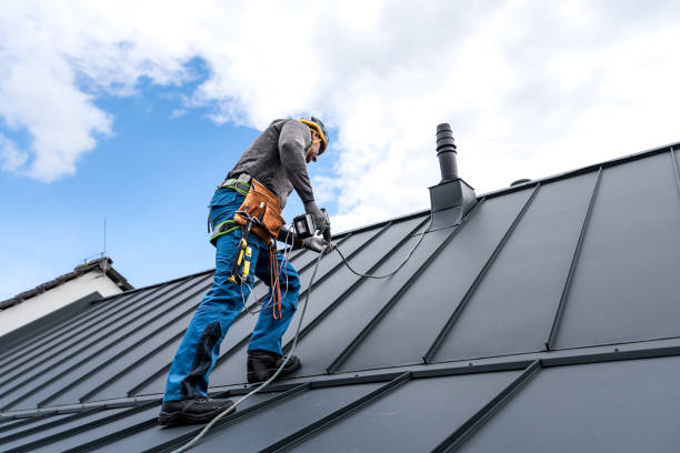 Best Steel Roofing  in Dalton, PA